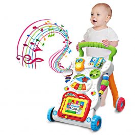 Grow with Me Baby Walker Multicolour HE0801