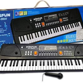 BIG FUN 49 KEYS ELECTRONIC KEYBOARD (BF530C)