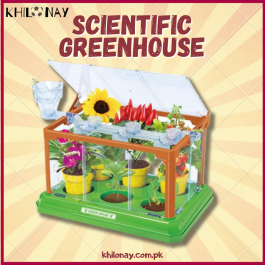 Mini Garden Scientific Plant Greenhouse Exploration