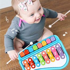 2 in 1 Xylophone and Piano Toy