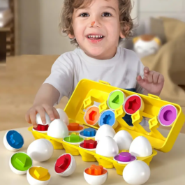 Shape and Color Matching Eggs Pack of 12