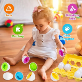 Shape and Color Matching Eggs Pack of 12